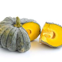 ZUCCA BERETTA PIACENTINA