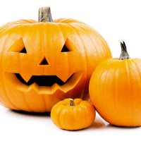 ZUCCA HALLOWEEN