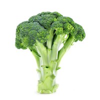 CAVOLO BROCCOLO