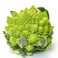 CAVOLFIORE ROMANESCO F1