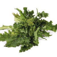 CIMA DI RAPA