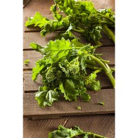 CIMA DI RAPA