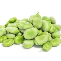 FAVA