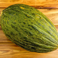 MELONE PIEL DE SAPO