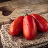 POMODORO SAN MARZANO F1