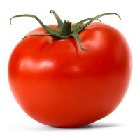 POMODORO TONDO