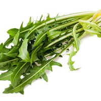 RUCOLA SELVATICA