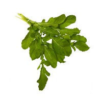 RUCOLA COLTIVATA