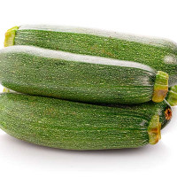 ZUCCHINO CORTO SCURO F1