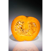 ZUCCA HALLOWEEN