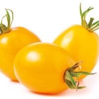 POMODORO DATTERINO GIALLO